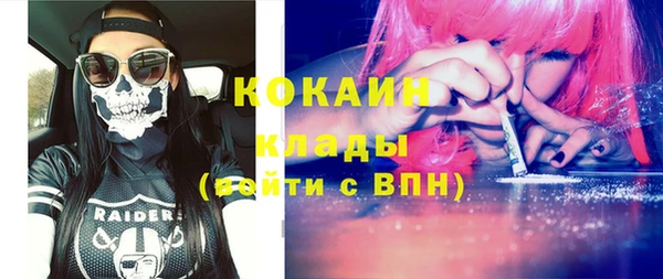 гашик Вязьма