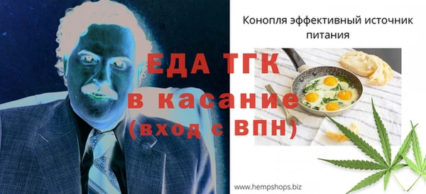гашик Вязьма