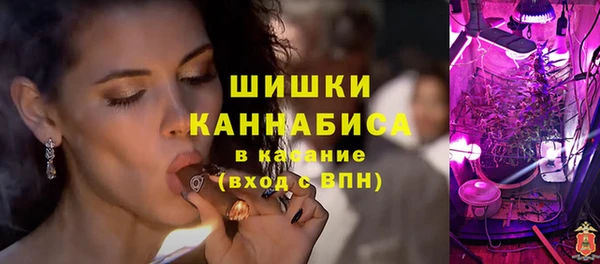 гашик Вязьма